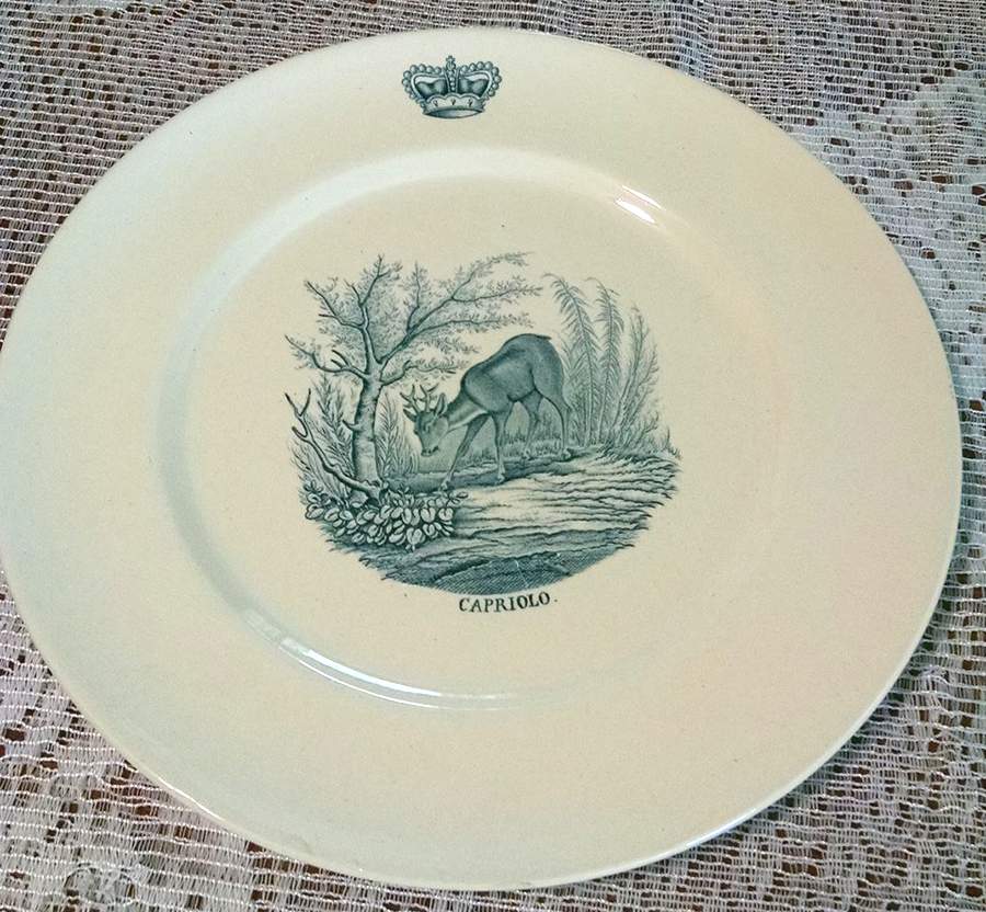 GIN338 Dinner Plate by Ginori 1735-1
