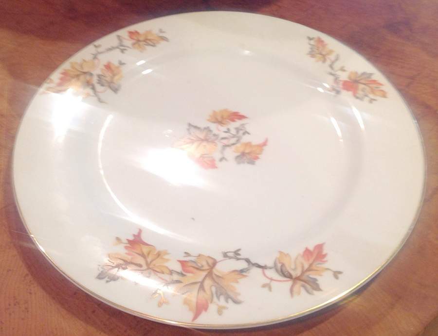 GEC32 Dinner Plate by Gem China-1
