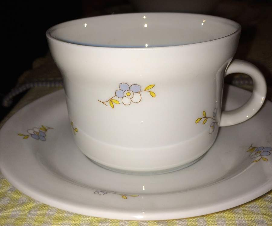 GIN348 Flat Cup & Saucer Set by Ginori 1735-1