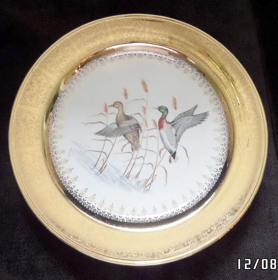 GRG35 Dinner Plate by Georgian China-1