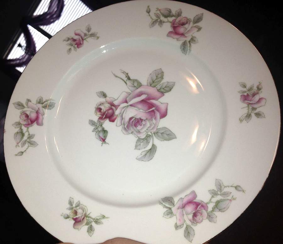 GMY353 Dinner Plate by Germany-1