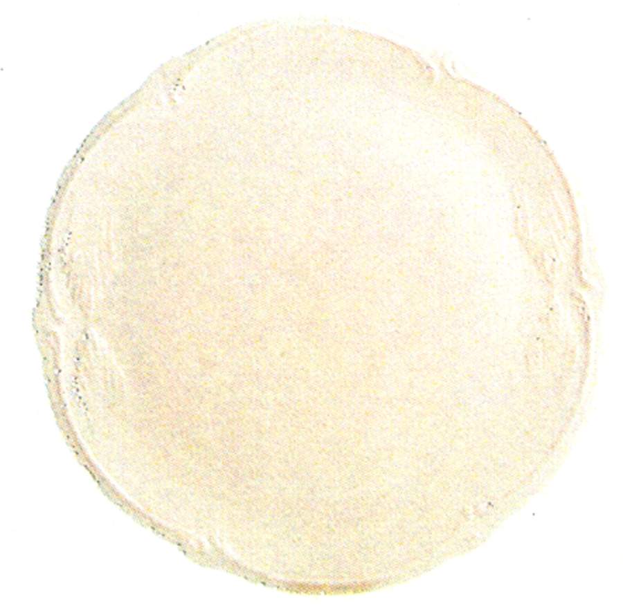 Rocaille Pastel Cake Plate by Faiencerie De Gien-1