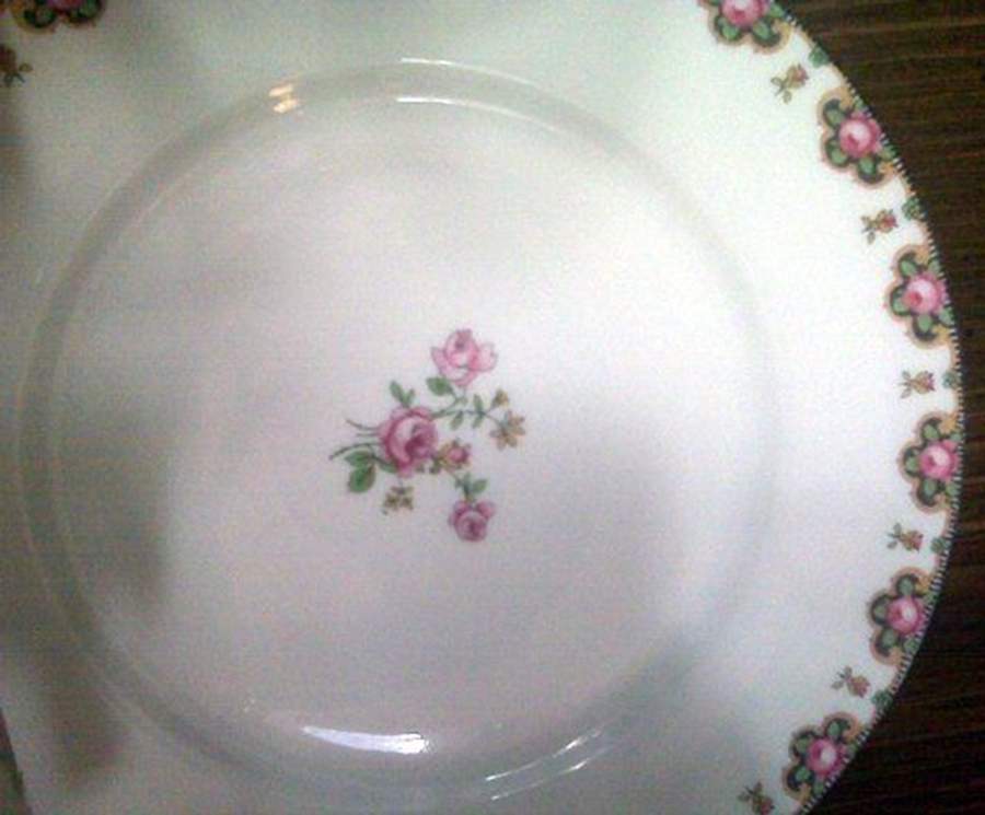 GUE782 Dinner Plate by WM Guerin-1