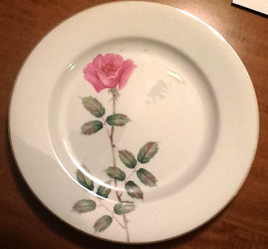 GEC34 Dinner Plate by Gem China-1