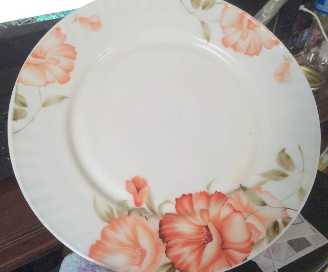 GCO16 Dinner Plate by Gold Coast-1
