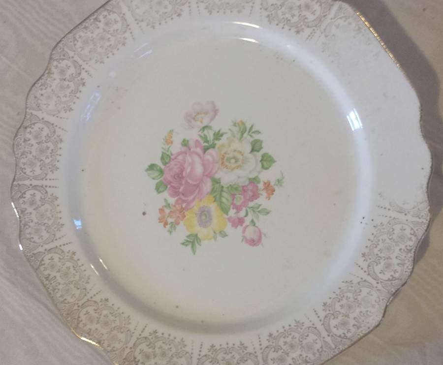 GEO609 Dinner Plate by WS George-1
