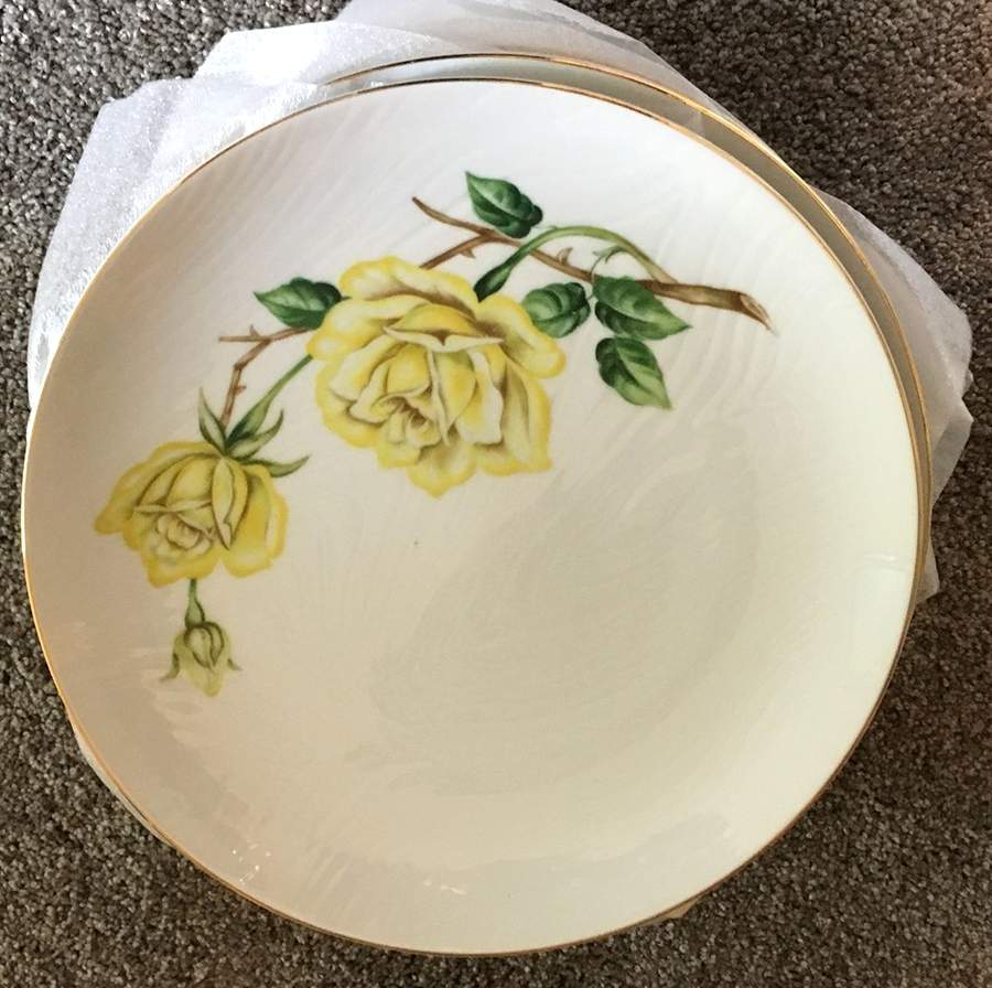GOC81 Dinner Plate by Gold China-1