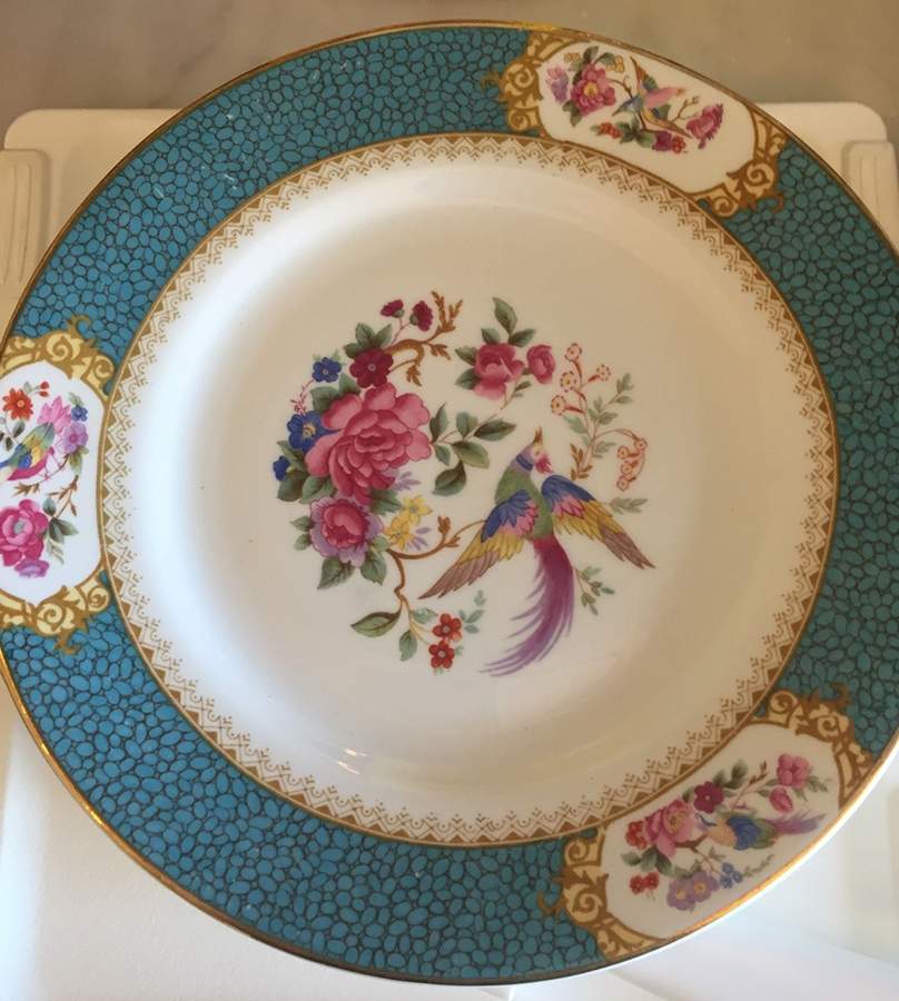 GRO87 Dinner Plate by Grosvenor-1