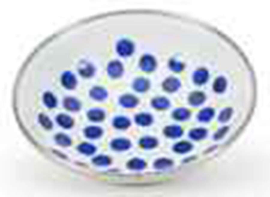 Malibu Dots Blue Enamelware Tasting Plate/Dish by Golden Rabbit Enamelware-1