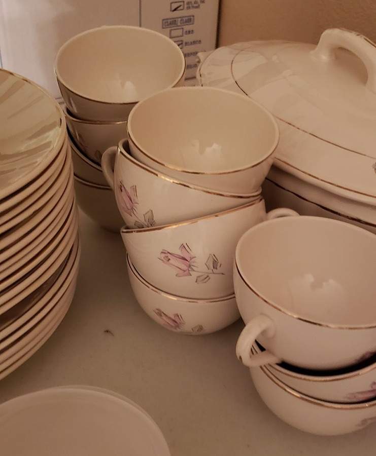 6802 Flat Cup by Gilman & Cta Savacem-1