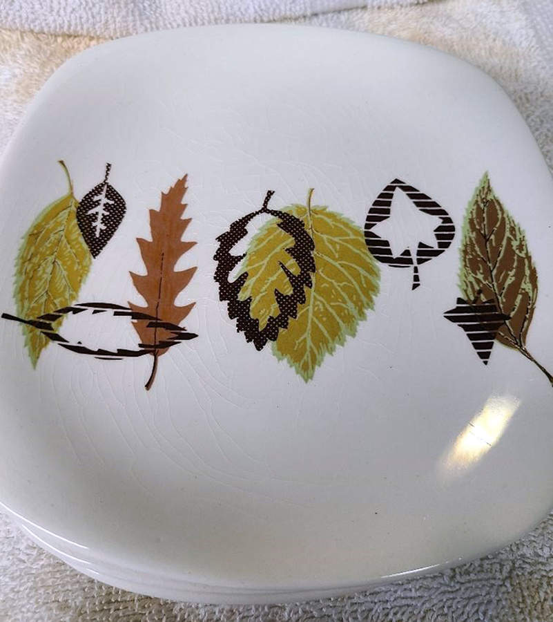Central Park Dinner Plate by T G Green (England)-1
