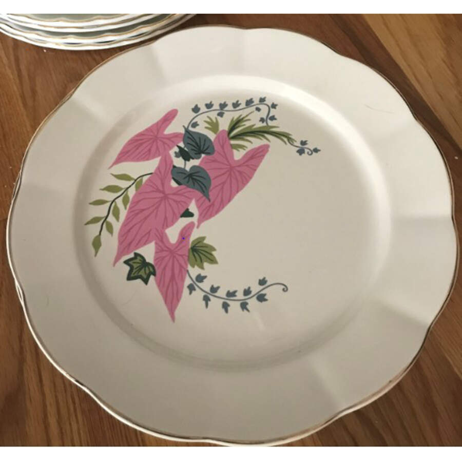 Pink Caladimus (Georgette) Dinner Plate by WS George-1
