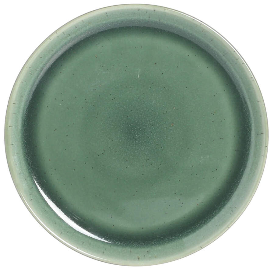 Fern Canyon Dinner Plate by Gibson Designs-1