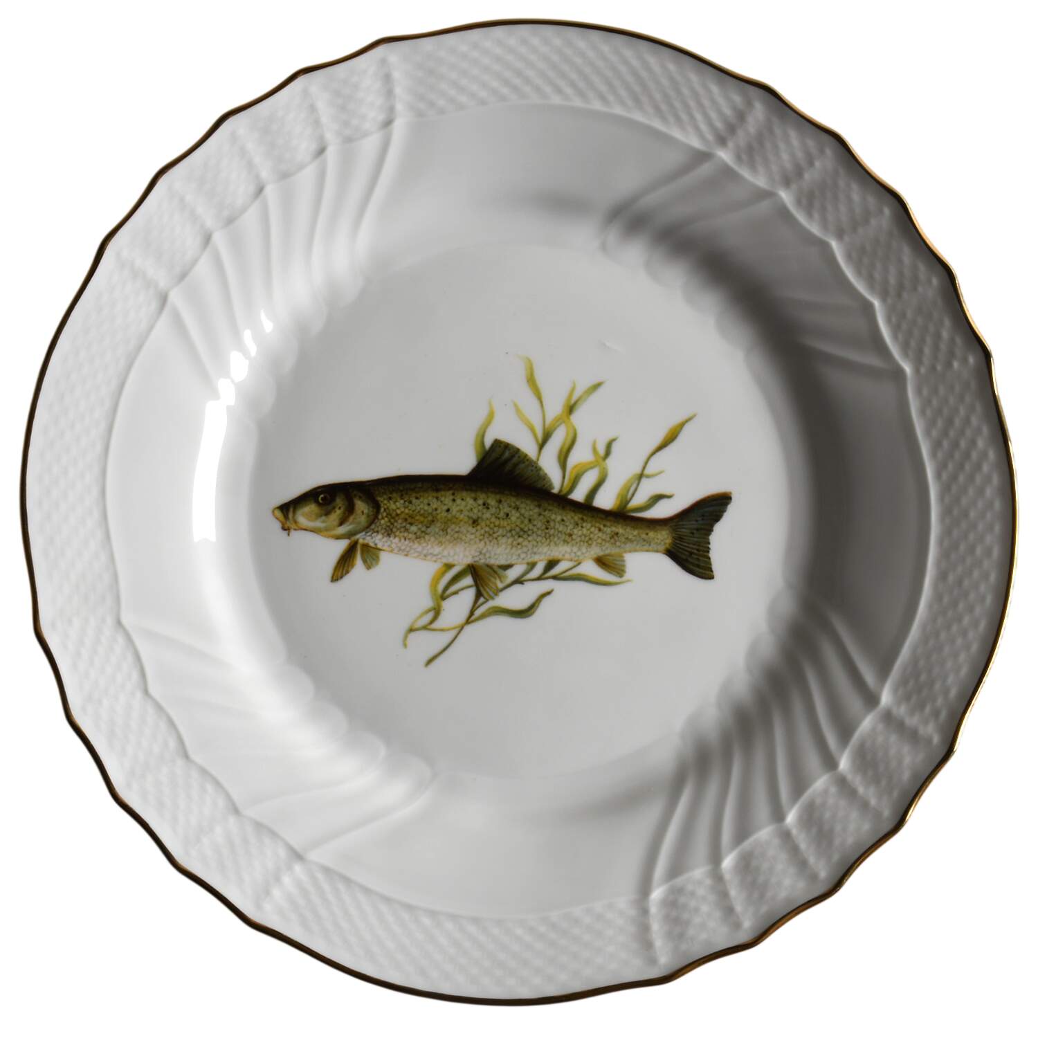 GIN402 Dinner Plate by Ginori 1735-1
