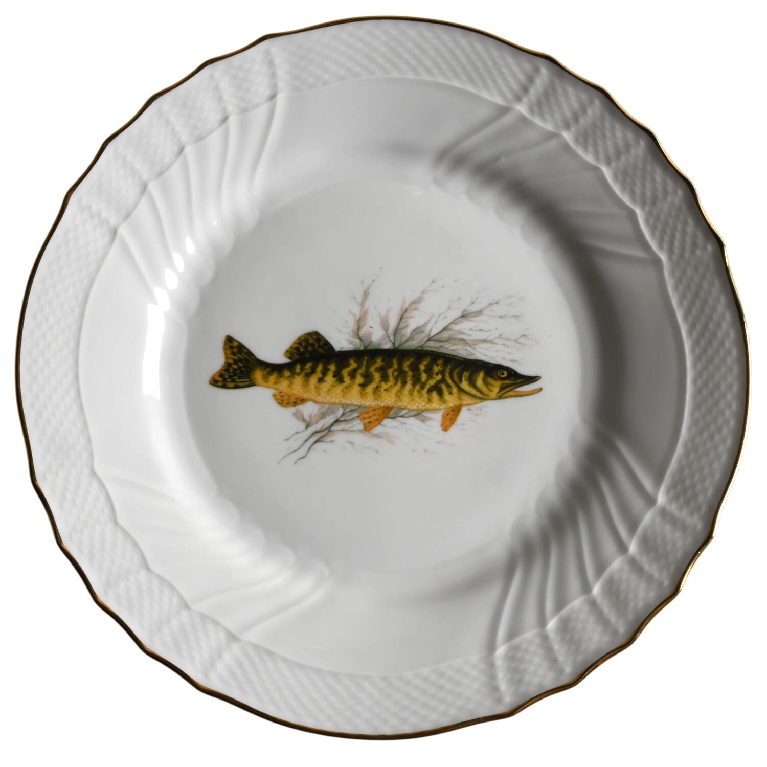 GIN402 Dinner Plate by Ginori 1735-1