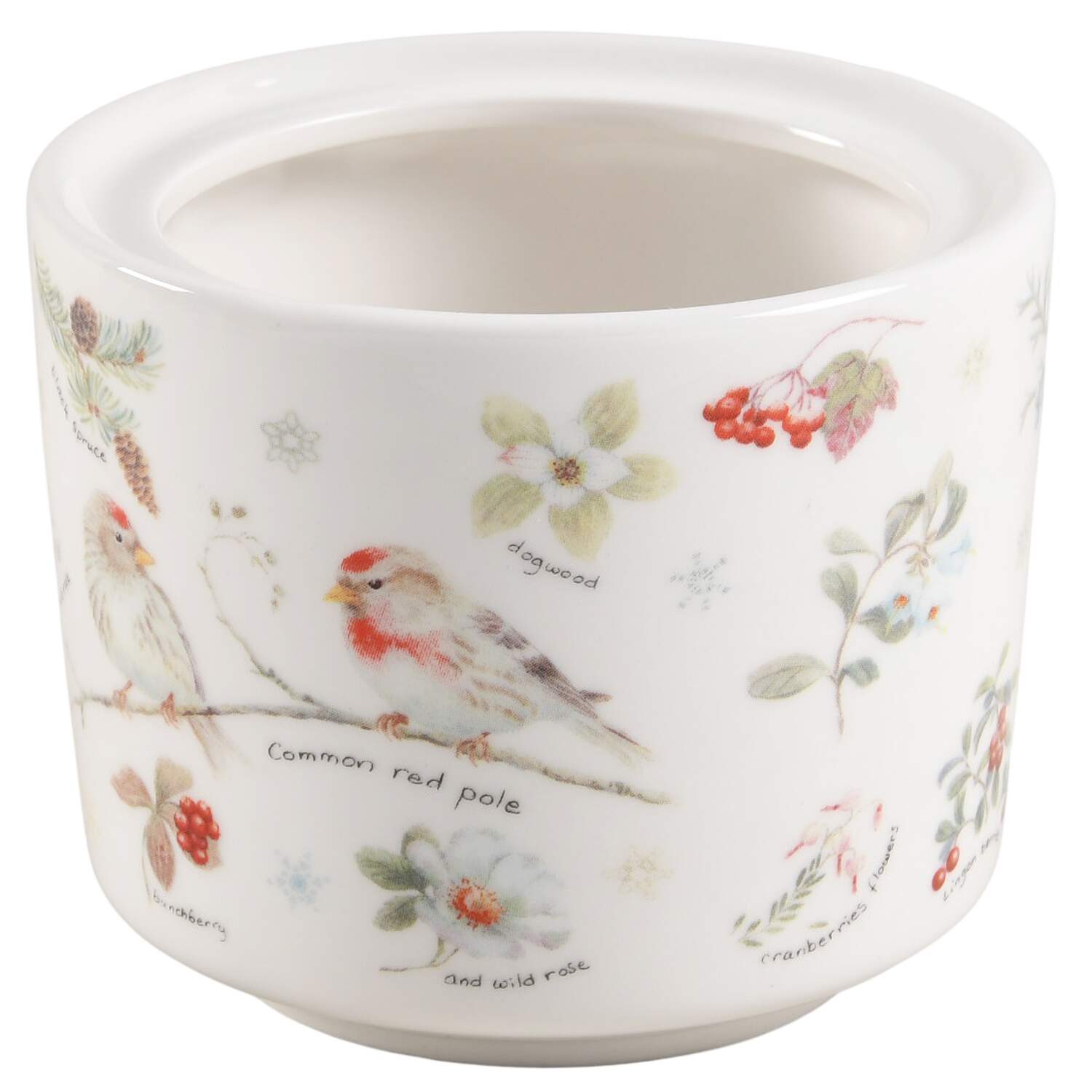 Winter Cardinal Sugar Bowl No Lid by Grace's Teaware-1