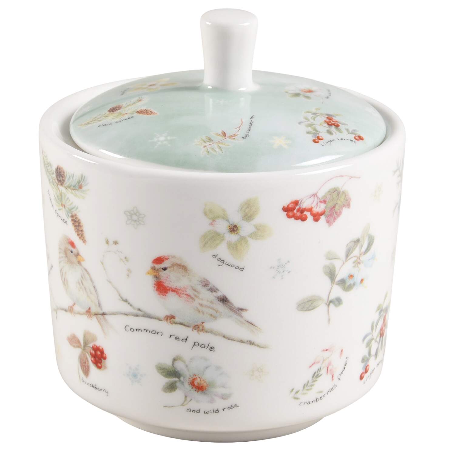 Winter Cardinal Sugar Bowl & Lid by Grace's Teaware-1