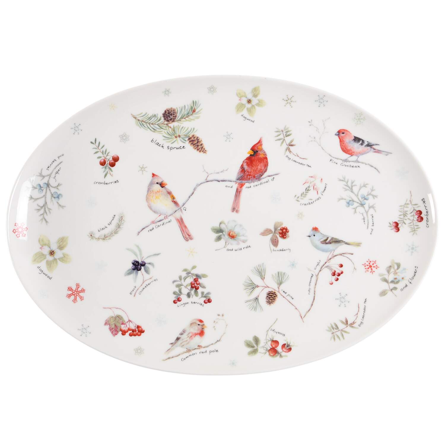 Winter Cardinal 16" Oval Serving Platter by Grace's Teaware-1