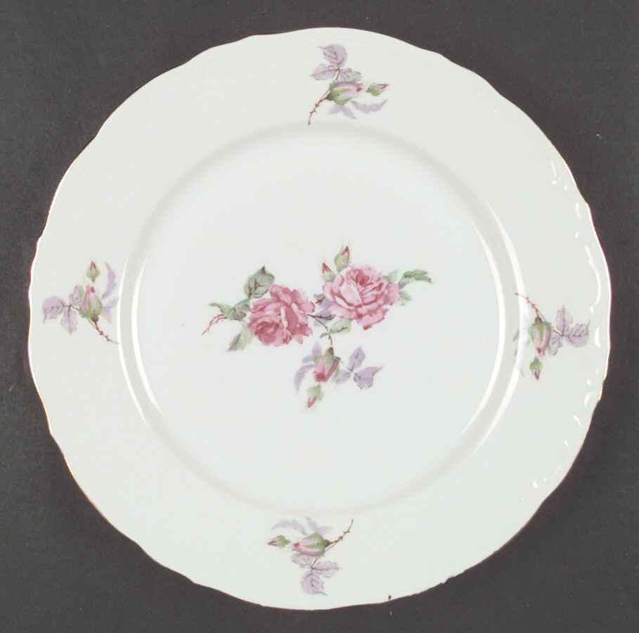 HCZ173 Dinner Plate by Haas-Czjzek Coronado-1