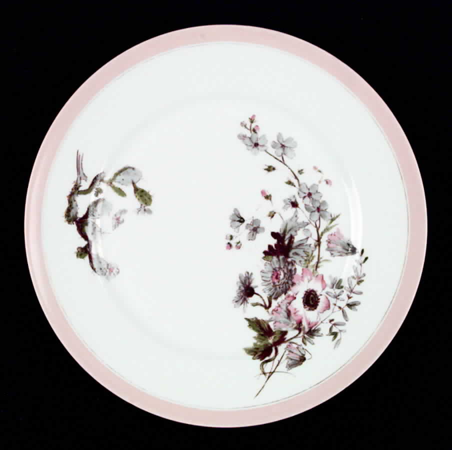 5085-6 Dinner Plate by Haviland-1