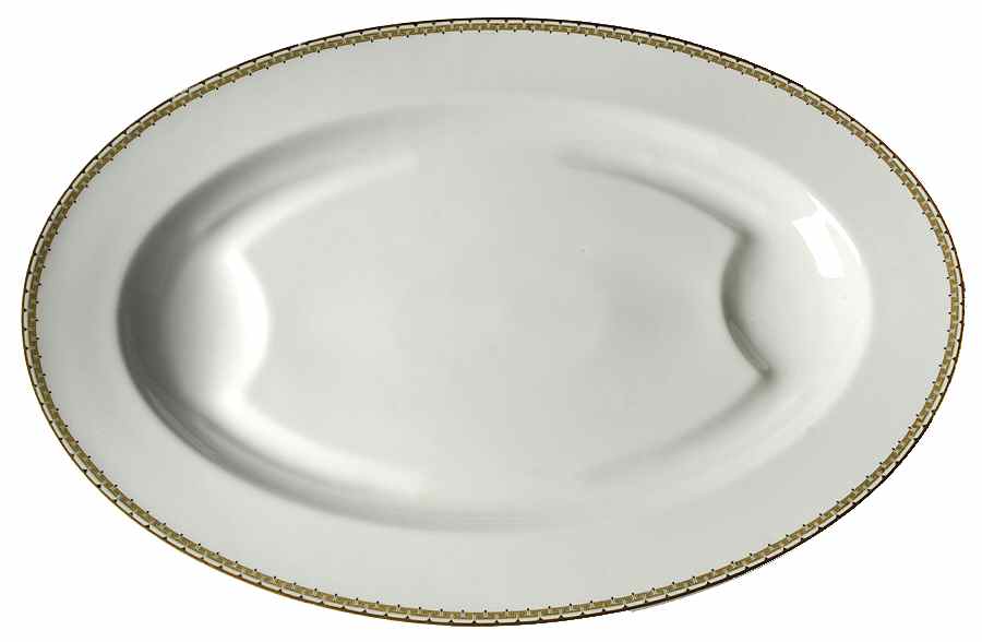 Albany 20" Oval Serving Platter by Haviland-1