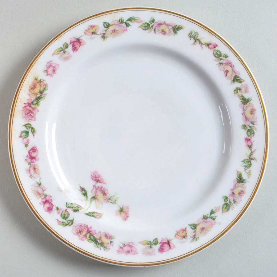 The Amstel Salad Plate by Haviland-1