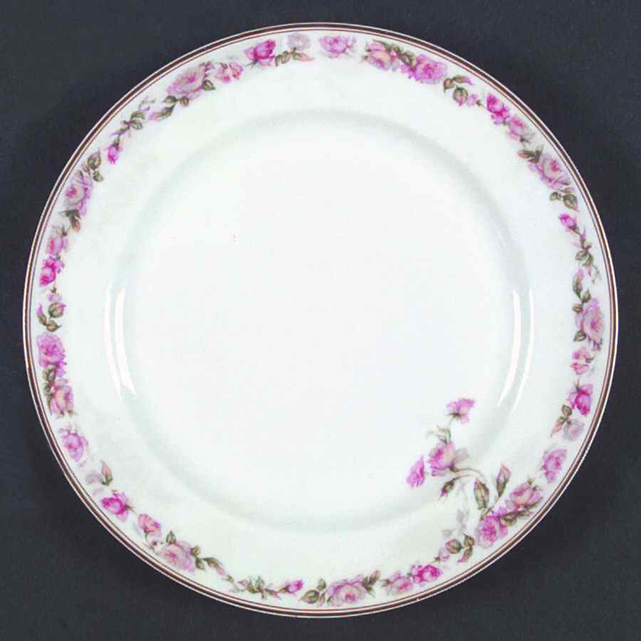 The Amstel Dinner Plate by Haviland-1