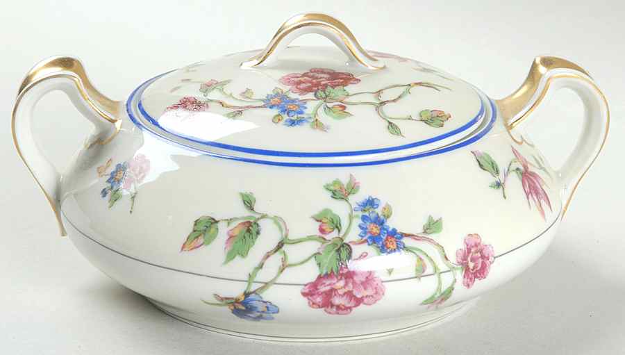 Angelo Sugar Bowl & Lid by Haviland-1