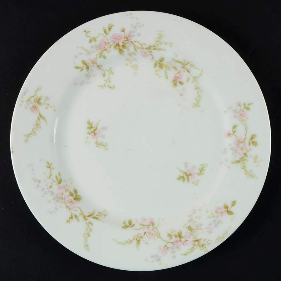 Antonette (No Gold Trim) Salad Plate by Haviland-1