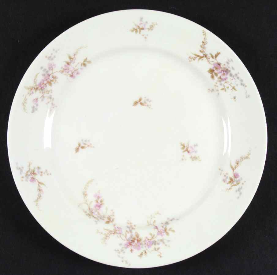 Antonette (No Gold Trim) Dinner Plate by Haviland-1