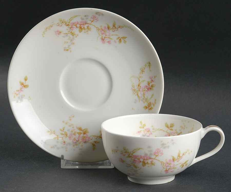Antonette (No Gold Trim) Flat Cup & Saucer Set by Haviland-1