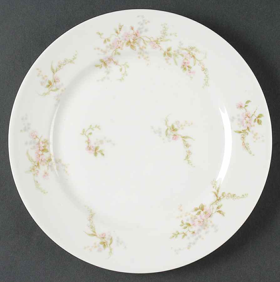 Antonette (No Gold Trim) Luncheon Plate by Haviland-1
