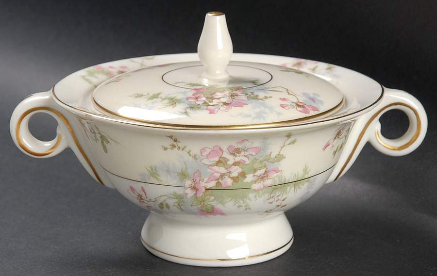 Apple Blossom (New York) Sugar Bowl & Lid by Haviland-1