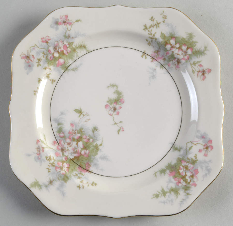 Apple Blossom (New York) Square Salad Plate by Haviland-1
