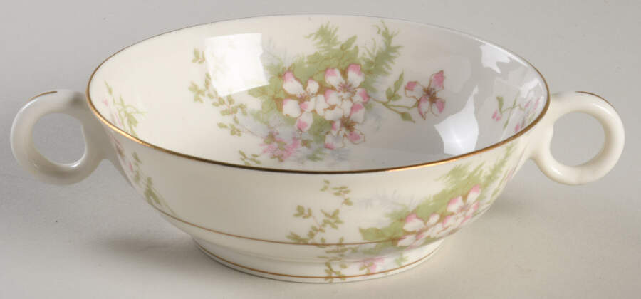 Apple Blossom (New York) Flat Cream Soup Bowl by Haviland-1