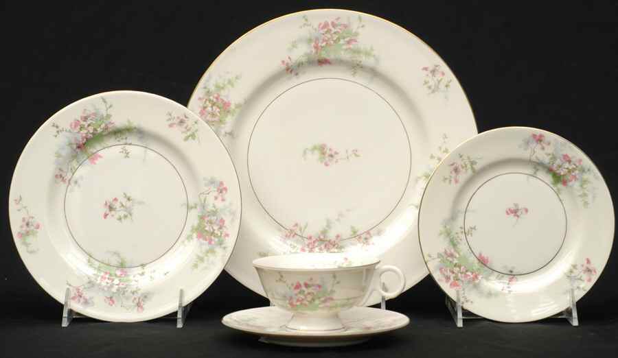 Apple Blossom (New York) 5 Piece Place Setting by Haviland-1