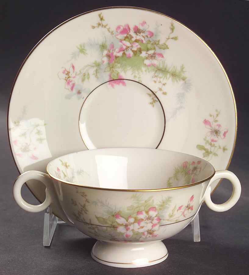 Apple Blossom (New York) Footed Bouillon Cup & Saucer by Haviland-1