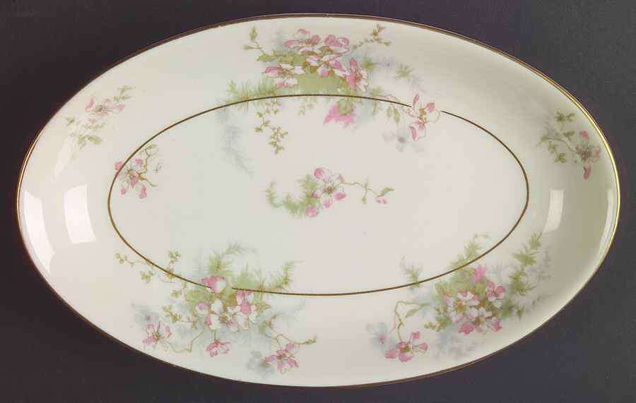 Apple Blossom (New York) Relish by Haviland-1