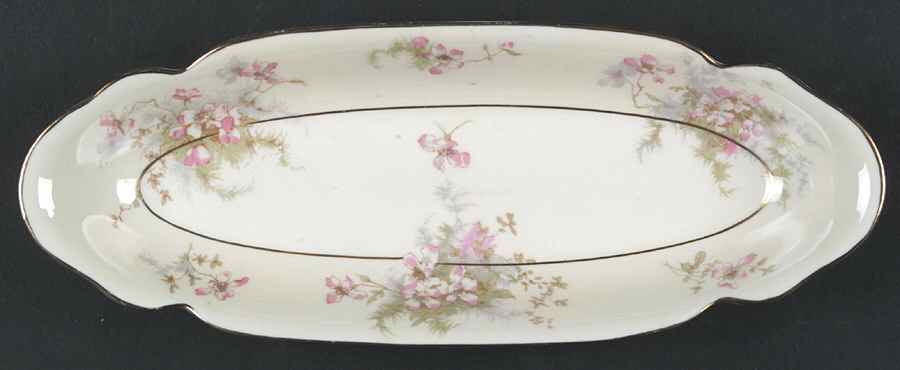 Apple Blossom (New York) Celery by Haviland-1