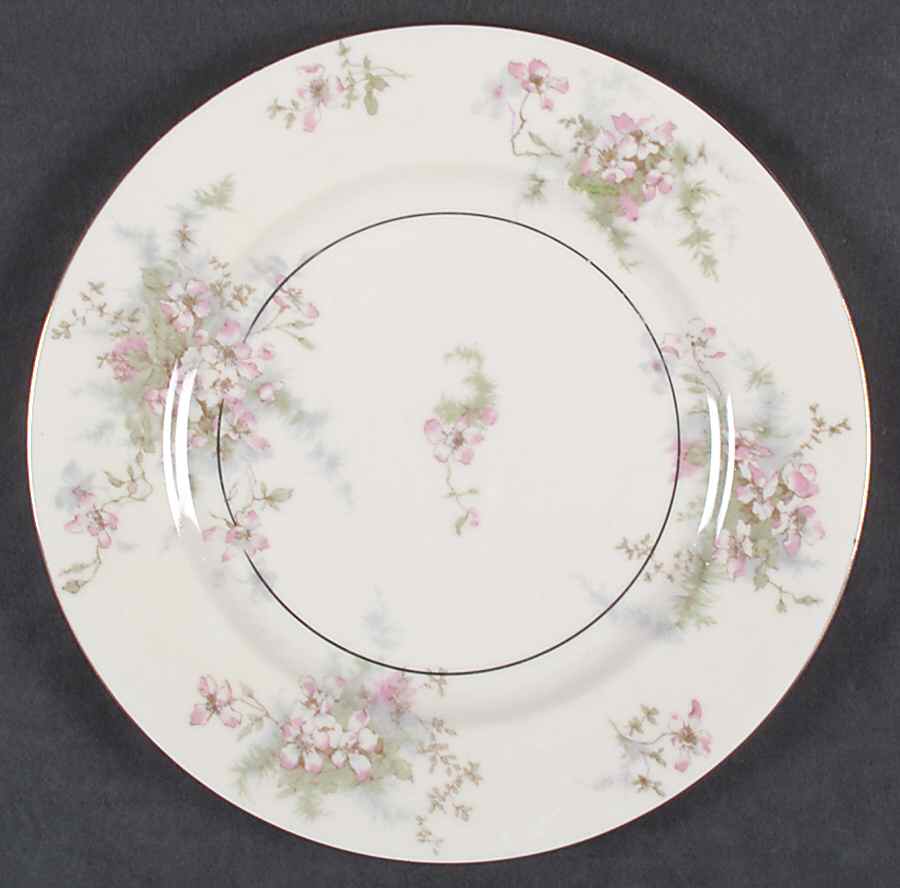 Apple Blossom (New York) Luncheon Plate by Haviland-1