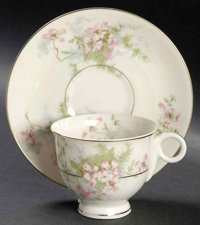 Apple Blossom (New York) Footed Demitasse Cup & Saucer Set by Haviland-1