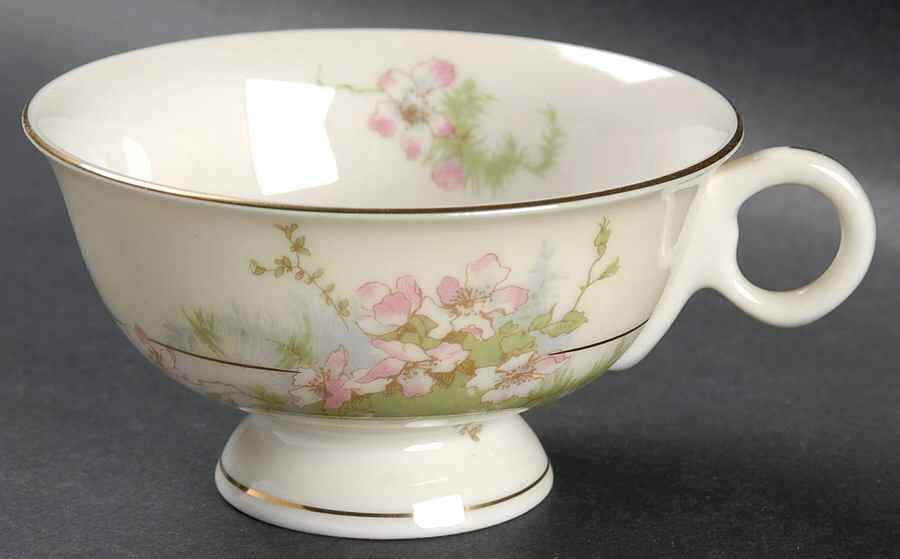 Apple Blossom (New York) Footed Cup by Haviland-1