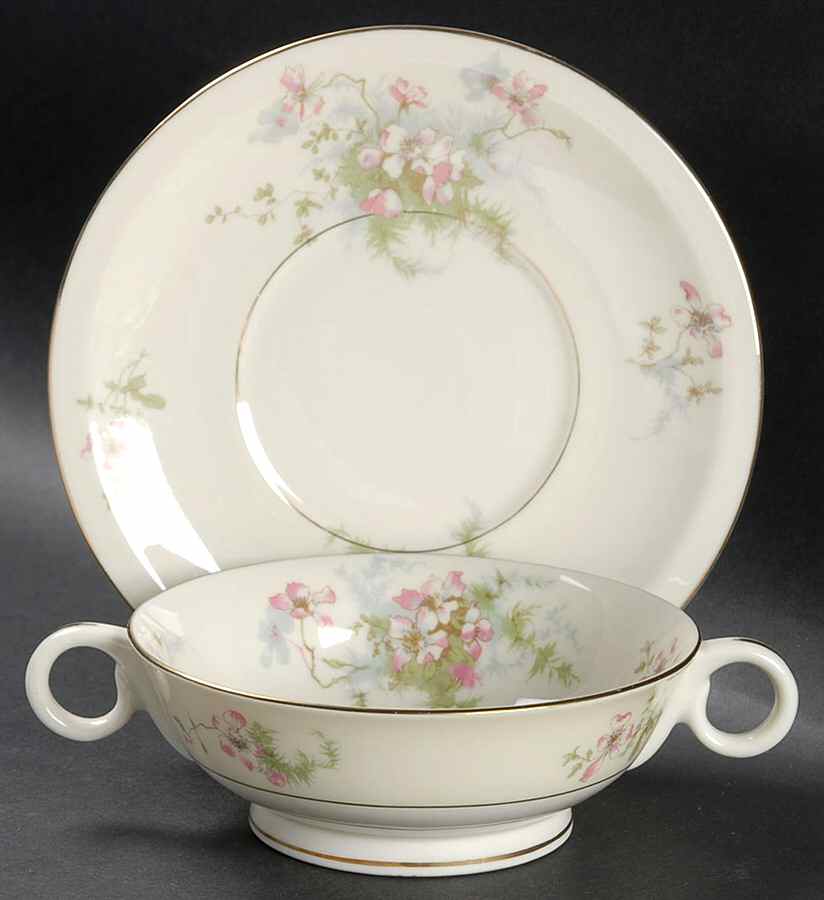Apple Blossom (New York) Footed Cream Soup Bowl & Saucer Set by Haviland-1
