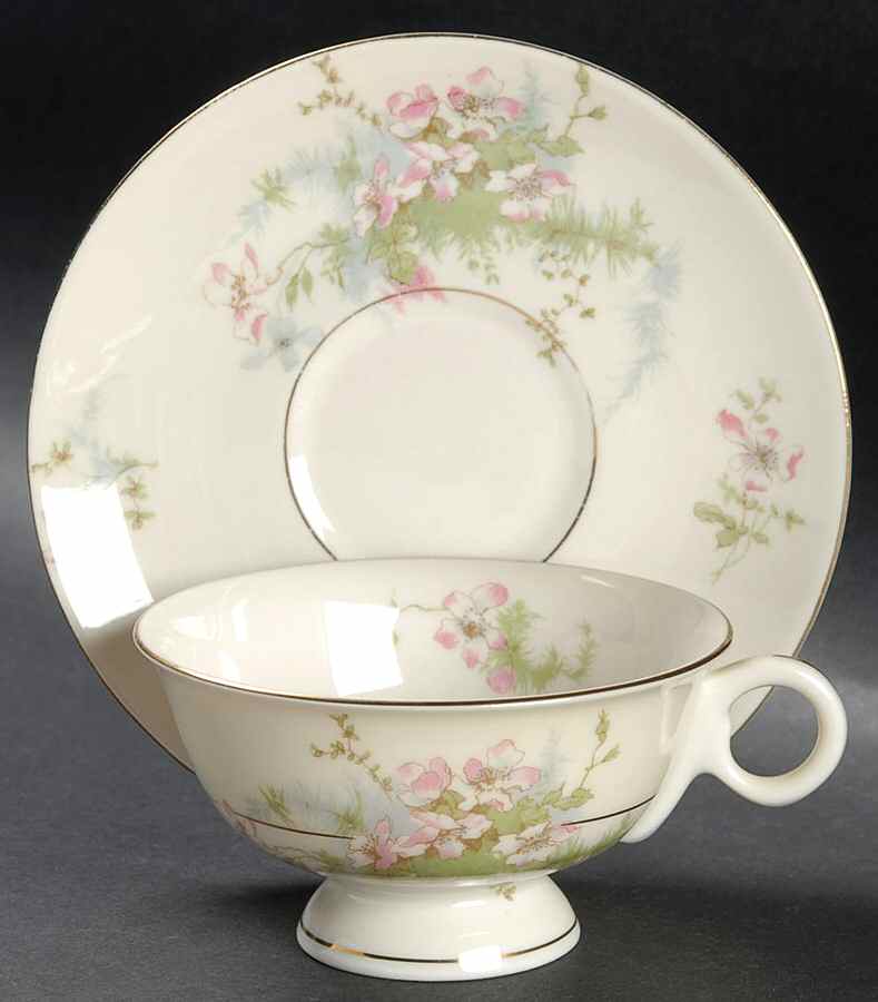 Apple Blossom (New York) Footed Cup & Saucer Set by Haviland-1