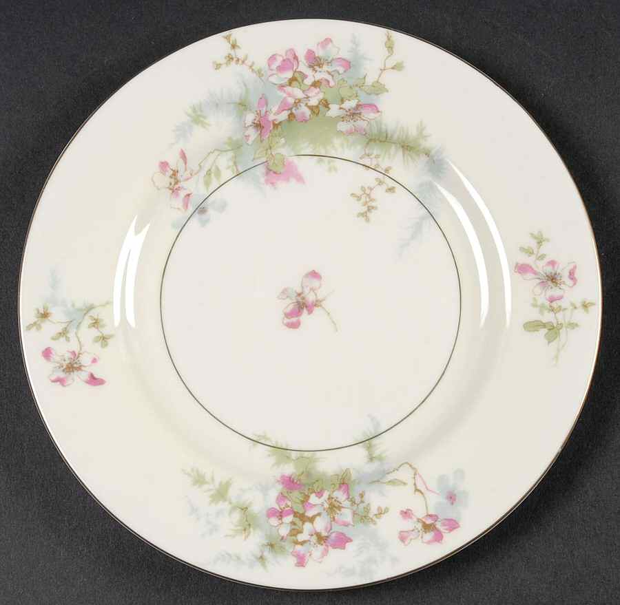 Apple Blossom (New York) Bread & Butter Plate by Haviland-1