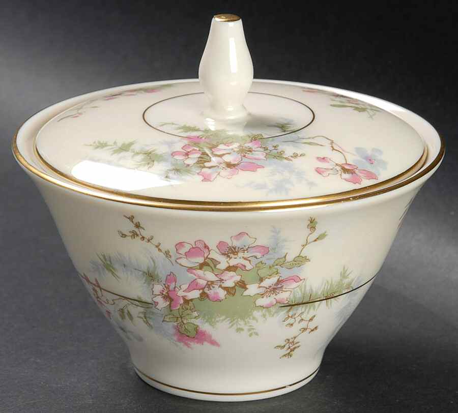 Apple Blossom (New York) Sugar Bowl & Lid by Haviland-1