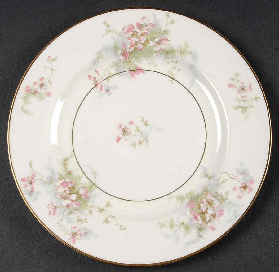 Apple Blossom (New York) Salad Plate by Haviland-1