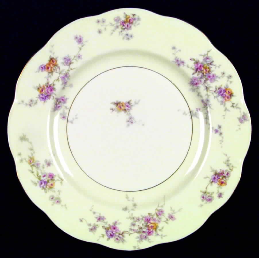 Arcadia (New York) Dinner Plate by Haviland-1