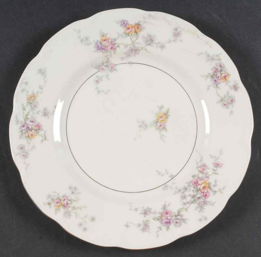 Arcadia (New York) Luncheon Plate by Haviland-1