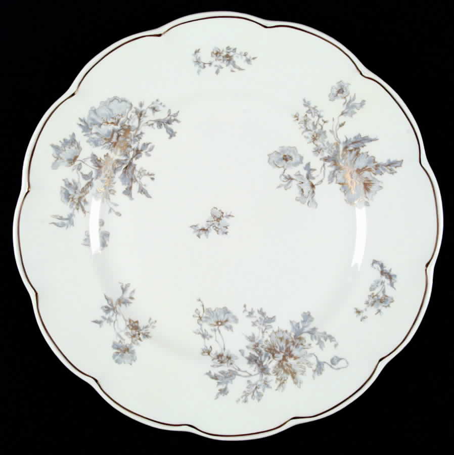 Auclair Dinner Plate by Haviland-1